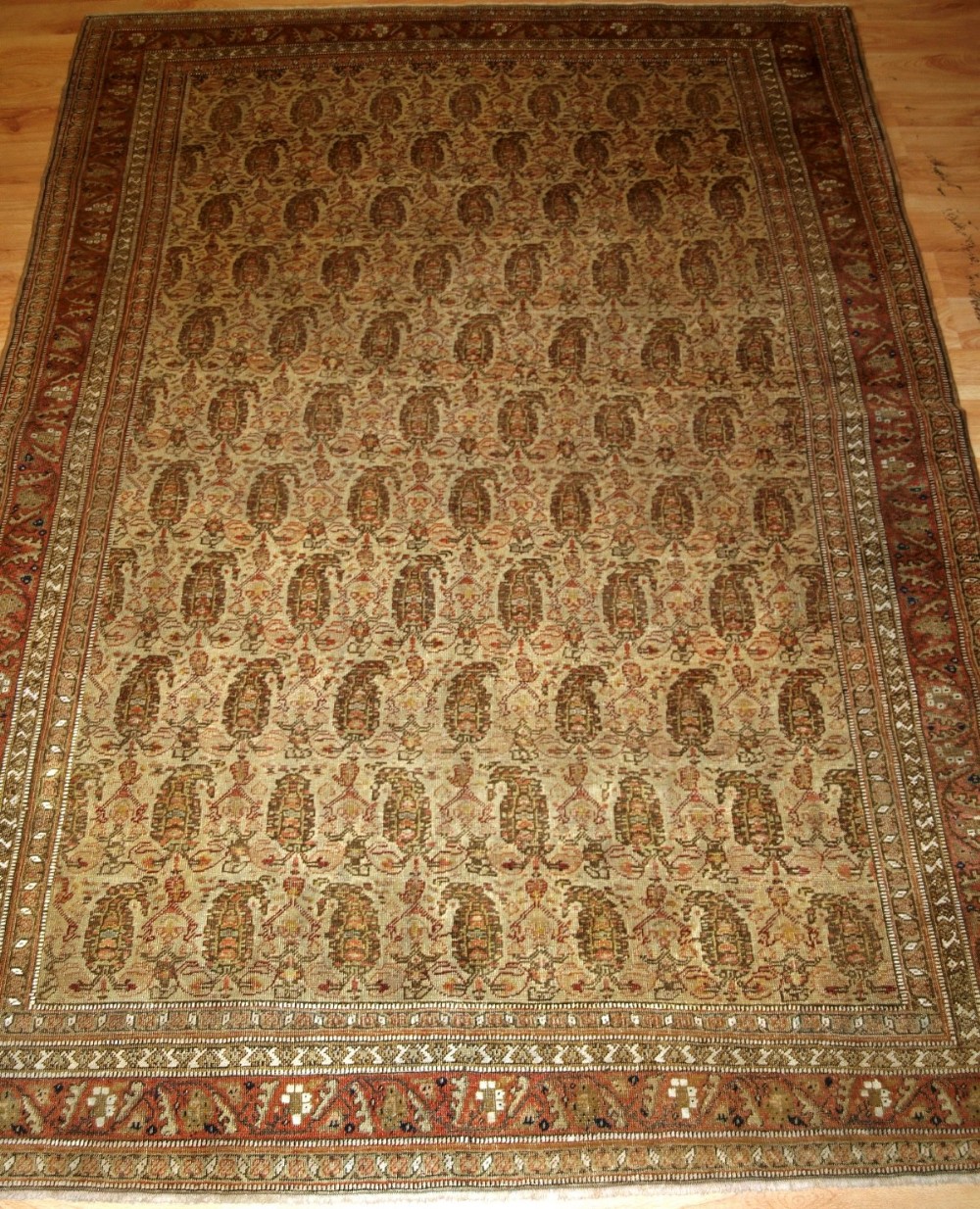 antique senneh rug ivory ground with boteh very fine circa 1900