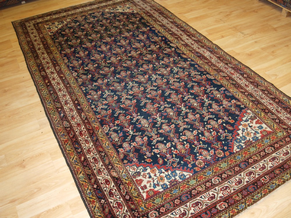antique north west persian malayer kelleh rug with shrub design and superb colour circa 1900