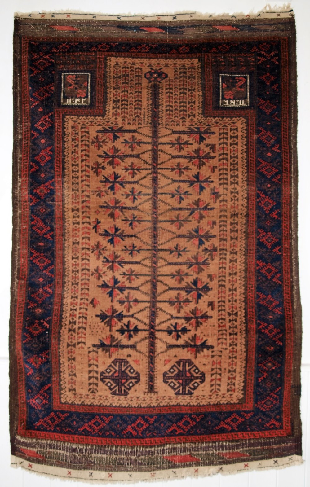 antique baluch camel ground prayer rug with 'tree of life' dated to the hand panels circa 1900