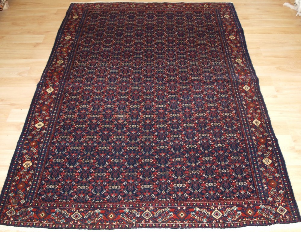 antique senneh rug all over fine heratti design circa 1900