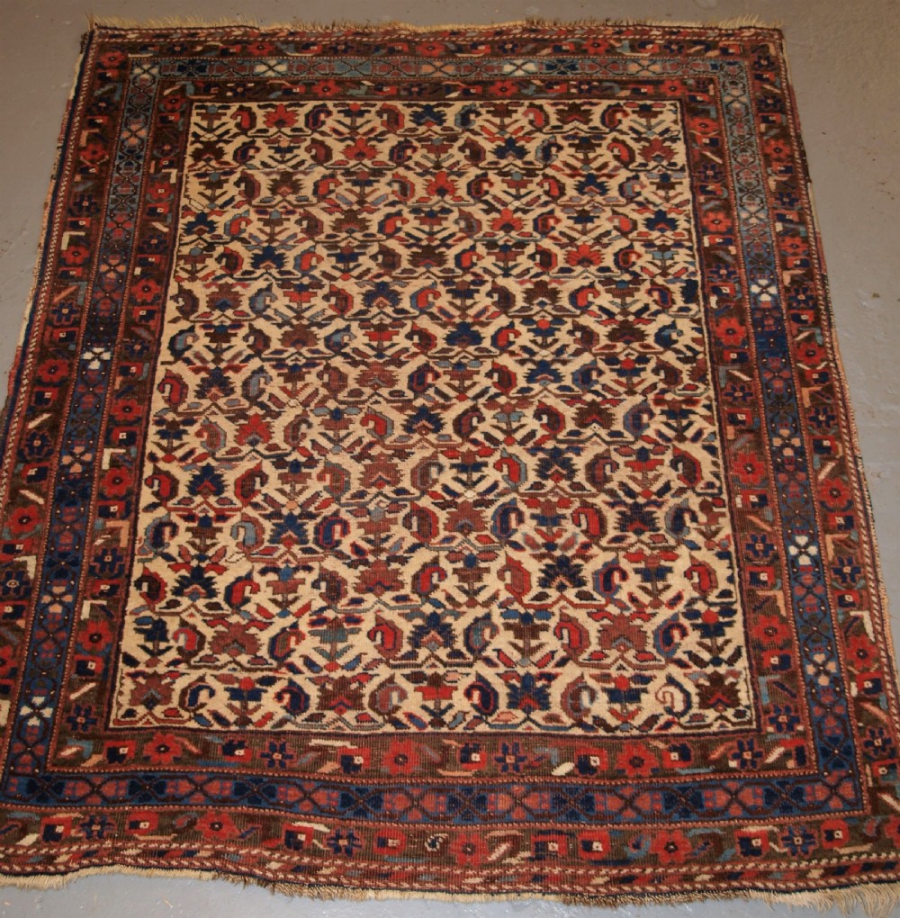 antique persian afshar rug kerman region all over design circa 1900