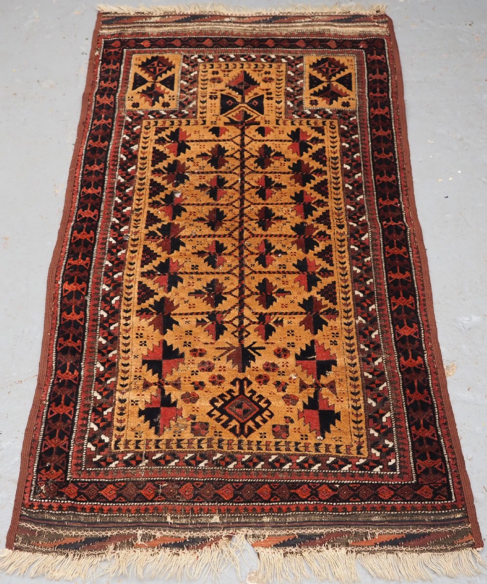 antique sarakh baluch prayer rug camel ground tree of life circa 1880