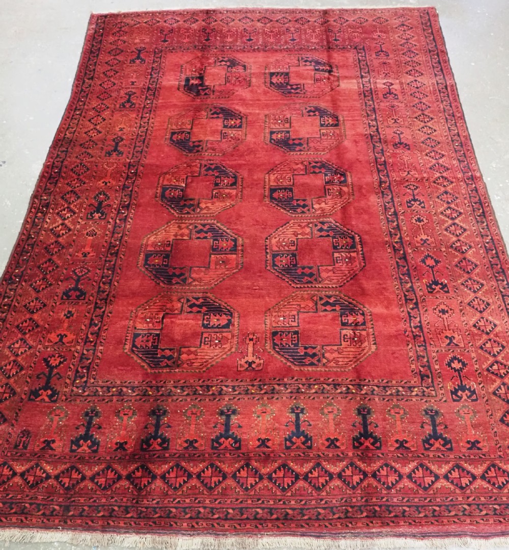 antique afghan ersari carpet taghan sub tribe outstanding colour circa 1900