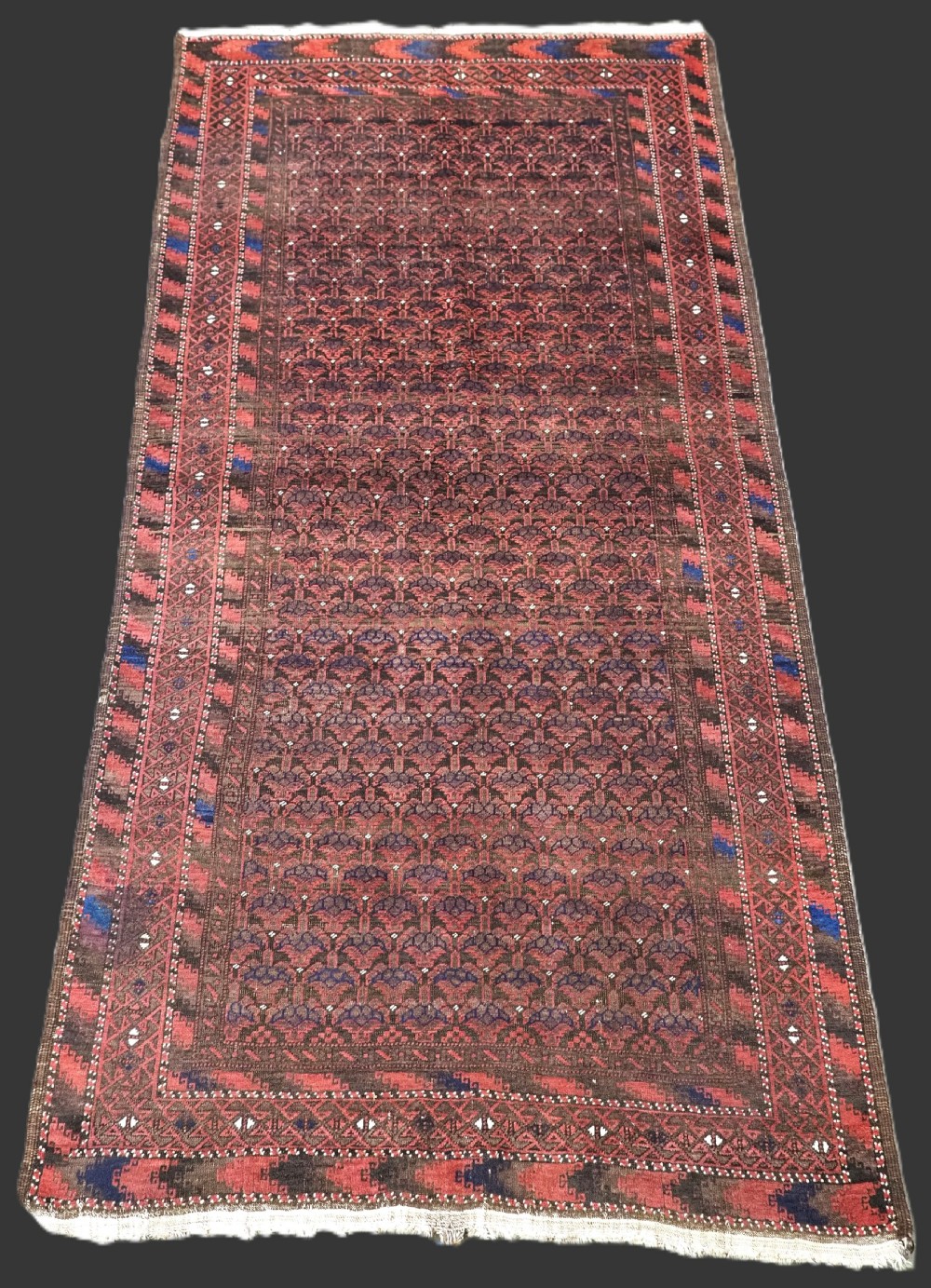 antique timuri baluch 'dokhtareqazi' rug with small shrub design circa 1880